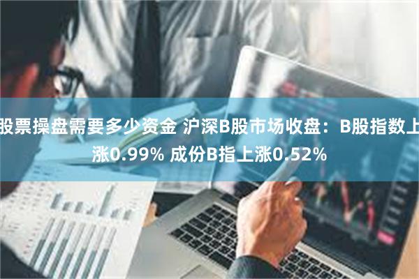 股票操盘需要多少资金 沪深B股市场收盘：B股指数上涨0.99% 成份B指上涨0.52%