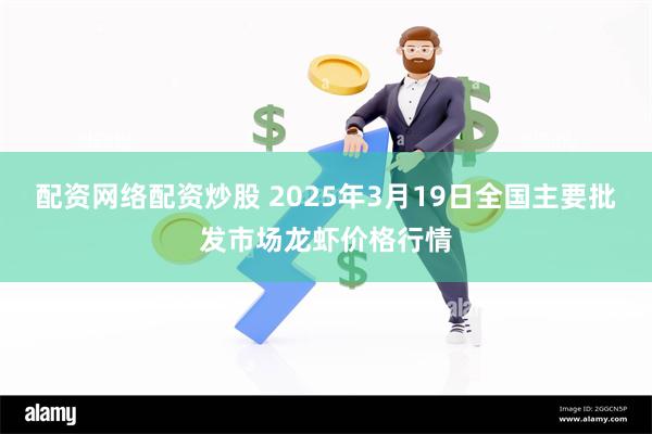 配资网络配资炒股 2025年3月19日全国主要批发市场龙虾价格行情