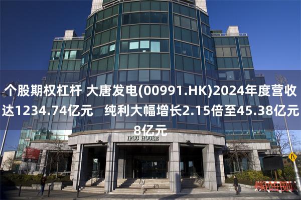 个股期权杠杆 大唐发电(00991.HK)2024年度营收达1234.74亿元   纯利大幅增长2.15倍至45.38亿元