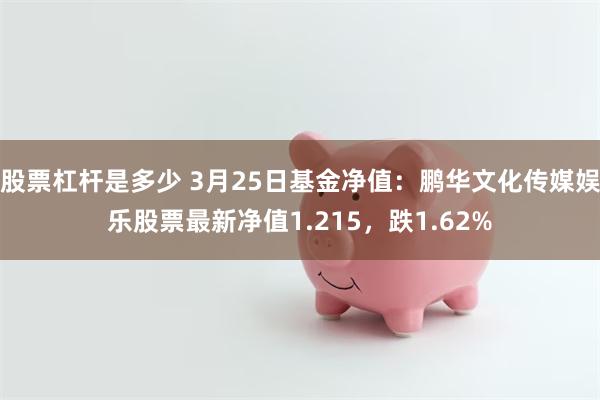 股票杠杆是多少 3月25日基金净值：鹏华文化传媒娱乐股票最新净值1.215，跌1.62%