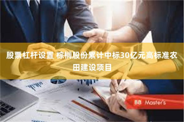 股票杠杆设置 棕榈股份累计中标30亿元高标准农田建设项目