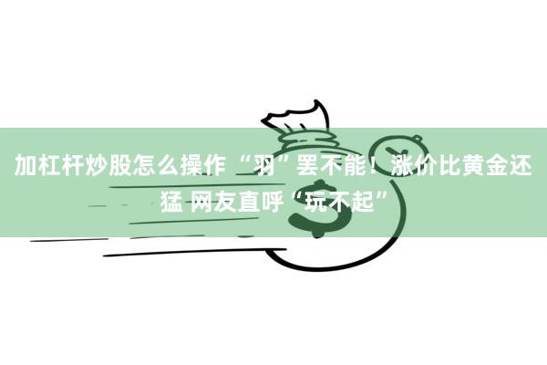 加杠杆炒股怎么操作 “羽”罢不能！涨价比黄金还猛 网友直呼“玩不起”