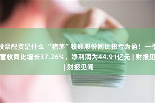 股票配资是什么 “猪茅”牧原股份同比扭亏为盈！一季度营收同比增长37.26%，净利润为44.91亿元 | 财报见闻