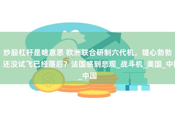 炒股杠杆是啥意思 欧洲联合研制六代机，雄心勃勃，还没试飞已经落后？法国感到悲观_战斗机_美国_中国