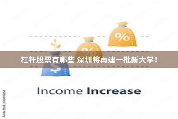 杠杆股票有哪些 深圳将再建一批新大学！