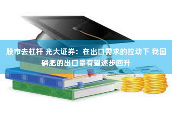 股市去杠杆 光大证券：在出口需求的拉动下 我国磷肥的出口量有望逐步回升