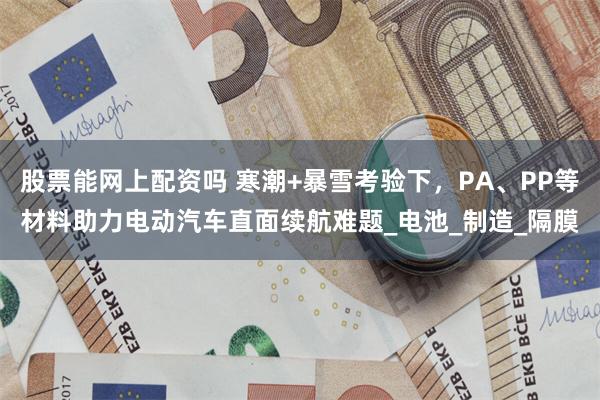 股票能网上配资吗 寒潮+暴雪考验下，PA、PP等材料助力电动汽车直面续航难题_电池_制造_隔膜