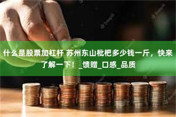 什么是股票加杠杆 苏州东山枇杷多少钱一斤，快来了解一下！_馈赠_口感_品质