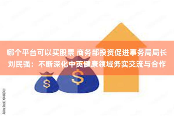 哪个平台可以买股票 商务部投资促进事务局局长刘民强：不断深化中英健康领域务实交流与合作