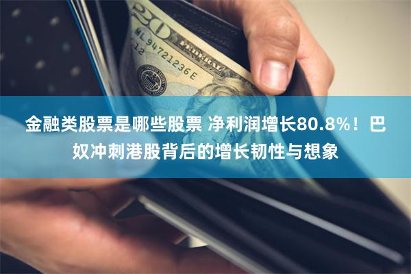 金融类股票是哪些股票 净利润增长80.8%！巴奴冲刺港股背后的增长韧性与想象