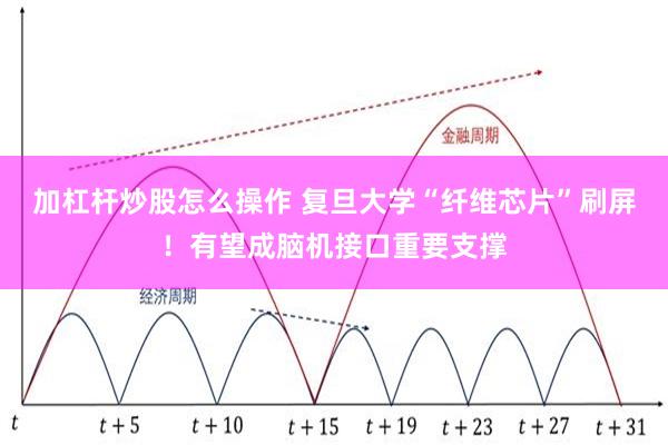 加杠杆炒股怎么操作 复旦大学“纤维芯片”刷屏！有望成脑机接口重要支撑
