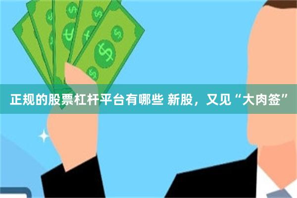 正规的股票杠杆平台有哪些 新股，又见“大肉签”