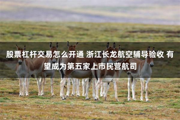 股票杠杆交易怎么开通 浙江长龙航空辅导验收 有望成为第五家上市民营航司