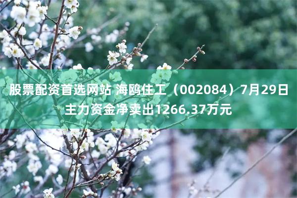股票配资首选网站 海鸥住工（002084）7月29日主力资金净卖出1266.37万元