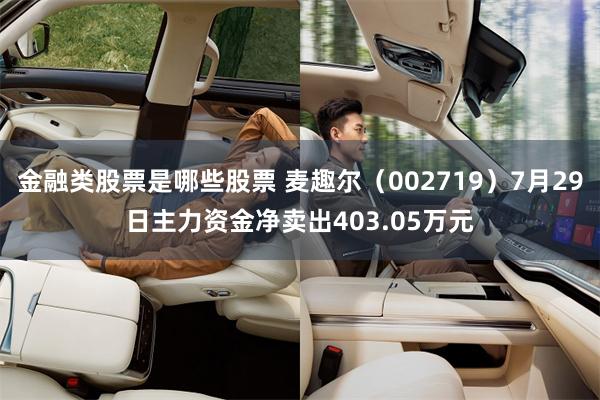 金融类股票是哪些股票 麦趣尔（002719）7月29日主力资金净卖出403.05万元
