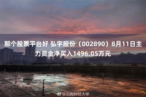 那个股票平台好 弘宇股份（002890）8月11日主力资金净买入1496.05万元