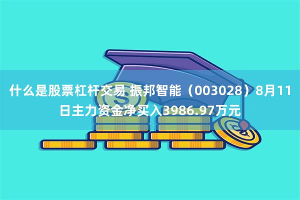 什么是股票杠杆交易 振邦智能（003028）8月11日主力资金净买入3986.97万元
