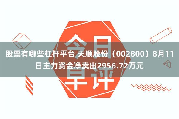 股票有哪些杠杆平台 天顺股份（002800）8月11日主力资金净卖出2956.72万元