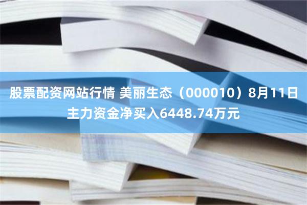 股票配资网站行情 美丽生态（000010）8月11日主力资金净买入6448.74万元