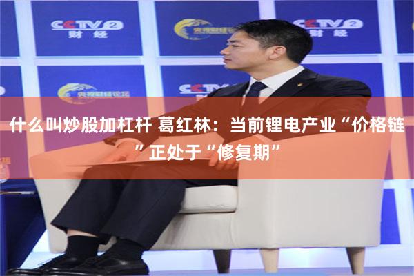 什么叫炒股加杠杆 葛红林：当前锂电产业“价格链”正处于“修复期”