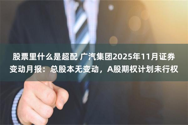 股票里什么是超配 广汽集团2025年11月证券变动月报：总股本无变动，A股期权计划未行权