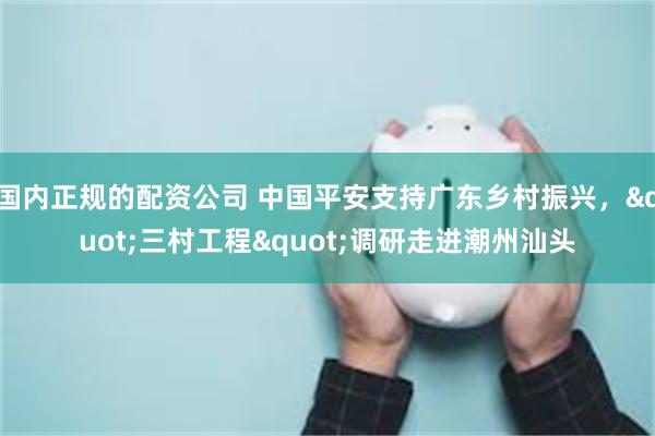 国内正规的配资公司 中国平安支持广东乡村振兴，"三村工程"调研走进潮州汕头