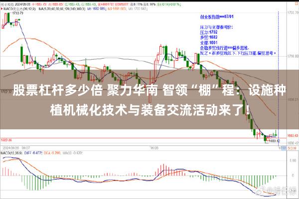 股票杠杆多少倍 聚力华南 智领“棚”程：设施种植机械化技术与装备交流活动来了！