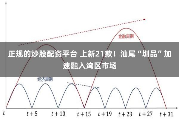 正规的炒股配资平台 上新21款！汕尾“圳品”加速融入湾区市场
