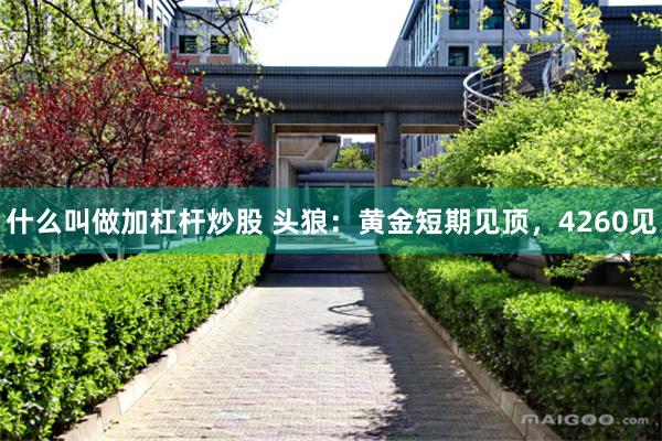 什么叫做加杠杆炒股 头狼：黄金短期见顶，4260见