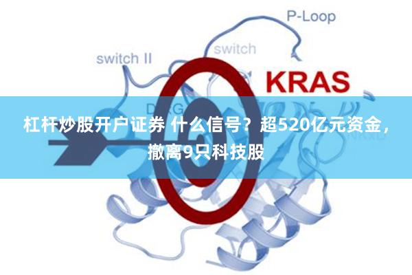 杠杆炒股开户证券 什么信号？超520亿元资金，撤离9只科技股