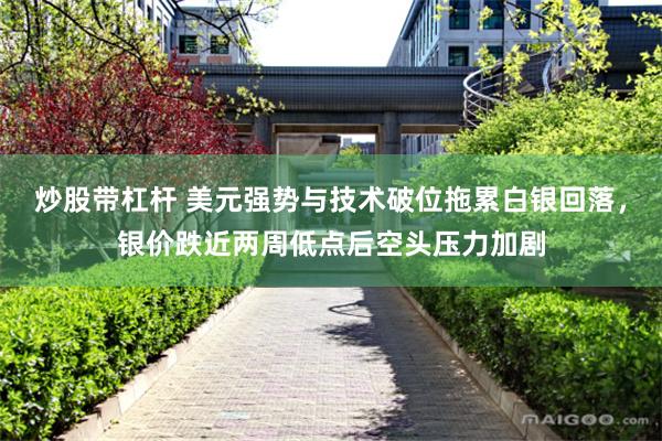 炒股带杠杆 美元强势与技术破位拖累白银回落，银价跌近两周低点后空头压力加剧