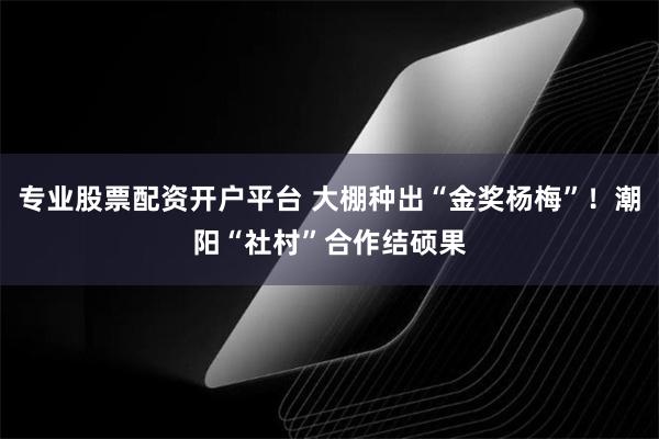 专业股票配资开户平台 大棚种出“金奖杨梅”！潮阳“社村”合作结硕果
