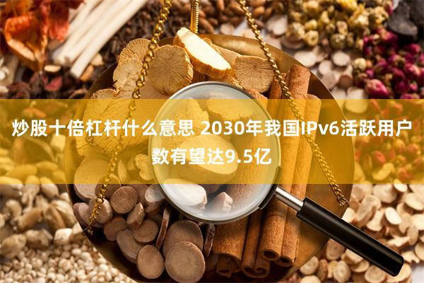 炒股十倍杠杆什么意思 2030年我国IPv6活跃用户数有望达9.5亿