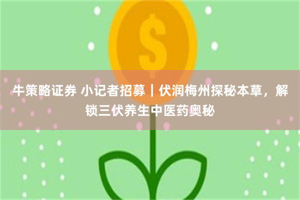 牛策略证券 小记者招募|伏润梅州探秘本草,解锁三伏养生中医药奥秘