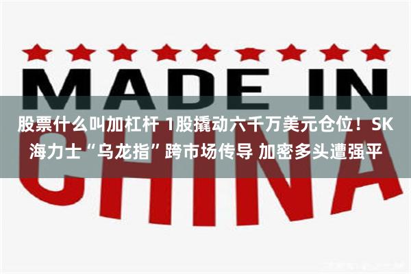 股票什么叫加杠杆 1股撬动六千万美元仓位！SK海力士“乌龙指”跨市场传导 加密多头遭强平