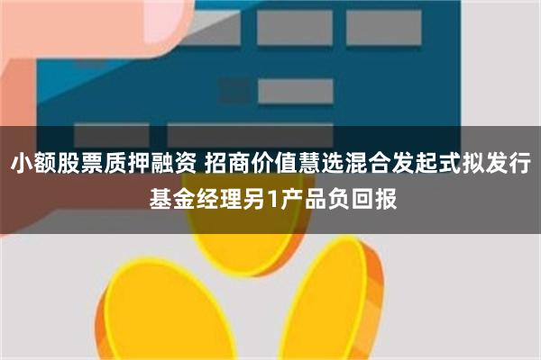 小额股票质押融资 招商价值慧选混合发起式拟发行 基金经理另1产品负回报