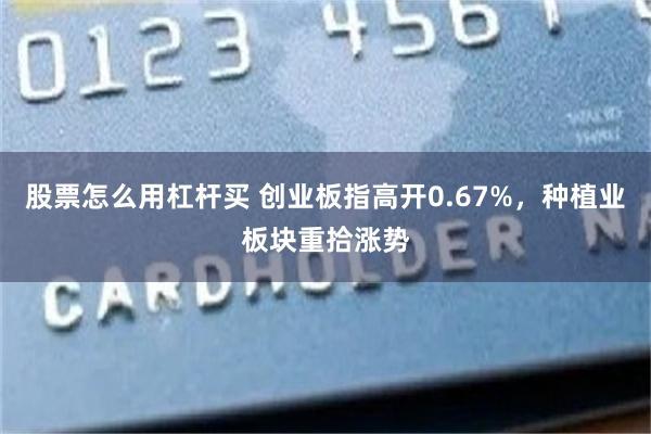 股票怎么用杠杆买 创业板指高开0.67%，种植业板块重拾涨势