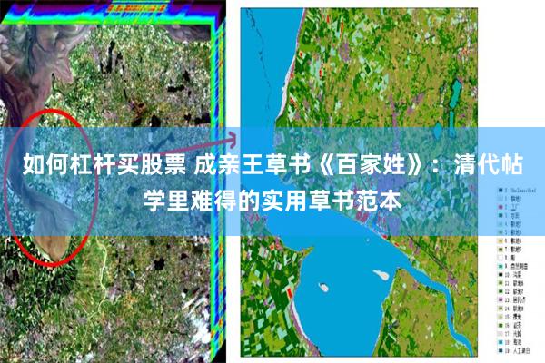 如何杠杆买股票 成亲王草书《百家姓》：清代帖学里难得的实用草书范本