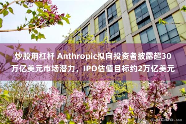 炒股用杠杆 Anthropic拟向投资者披露超30万亿美元市场潜力，IPO估值目标约2万亿美元