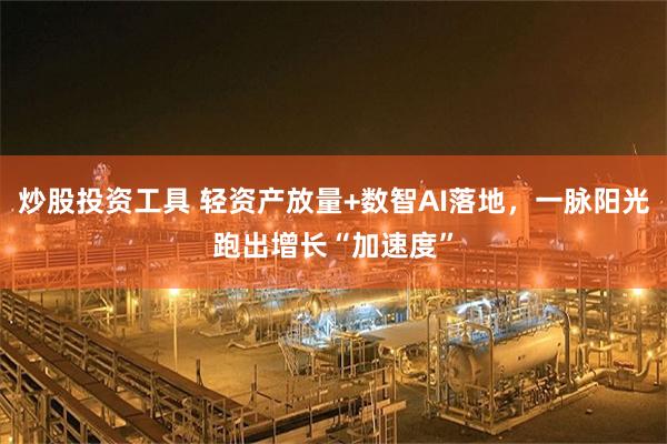 炒股投资工具 轻资产放量+数智AI落地，一脉阳光跑出增长“加速度”