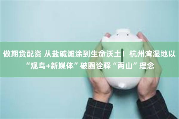 做期货配资 从盐碱滩涂到生命沃土！杭州湾湿地以“观鸟+新媒体”破圈诠释“两山”理念