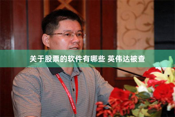 关于股票的软件有哪些 英伟达被查