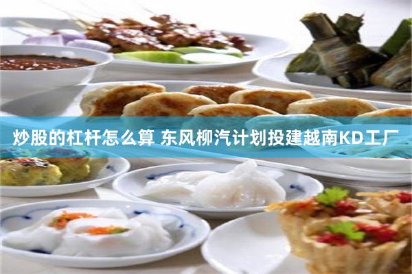 炒股的杠杆怎么算 东风柳汽计划投建越南KD工厂