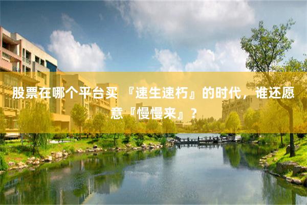 股票在哪个平台买 『速生速朽』的时代，谁还愿意『慢慢来』？