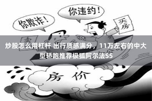 炒股怎么用杠杆 出行质感满分，11万左右的中大型轿跑推荐极狐阿尔法S5