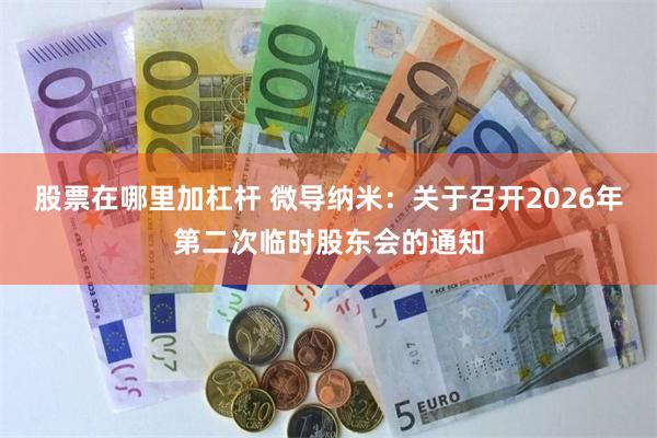 股票在哪里加杠杆 微导纳米：关于召开2026年第二次临时股东会的通知
