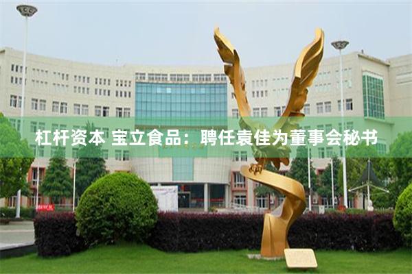 杠杆资本 宝立食品：聘任袁佳为董事会秘书
